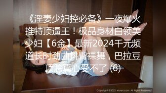 ★☆稀缺资源☆★推特30万粉母狗【Ella小骚狐】野外露出 调教 多P付费订阅 (9)