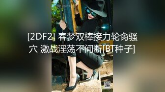 [2DF2] 春梦双棒接力轮肏骚穴 激战淫荡不间断[BT种子]