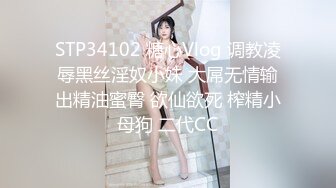 STP34102 糖心Vlog 调教凌辱黑丝淫奴小妹 大屌无情输出精油蜜臀 欲仙欲死 榨精小母狗 二代CC