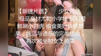 探探少妇