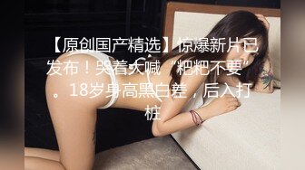 肥臀少妇我出来偷情，被我内射怀孕