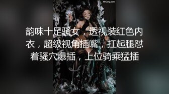 陈美惠.东京故事之我的表妹.91制片厂