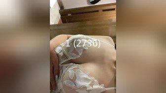 最新TS美人妖网红 甄选1888福利超大合集 第五弹！【276V】 (25)