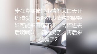 项圈狗链骑乘银行柜台少妇