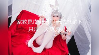 台湾JVID模特「elarine114」「白雪蘿綝」OF私拍 185cm极品身材36F吊钟乳小欲女【第一弹】 (10)