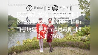 MDX-233圣诞夜的情趣游戏-寻小小