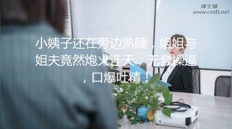 台大熱舞28副社中文 黃康蘋(竹女熱舞15th社長)