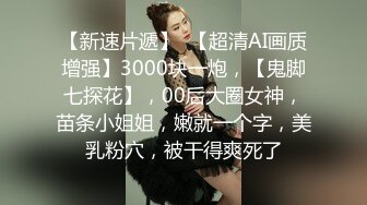 星空無限傳媒 XKTC010 女業主的秘密