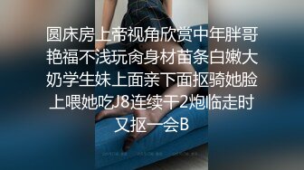 云盘高质露脸泄密，旅游社高颜值拜金气质美女导游甘愿做金主小三，各种日常性爱自拍，无套内射无水印高清原版 (3)