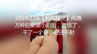 来个扫货特写可定制