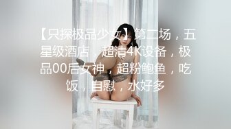 不做女神要做母狗，推特大神【L先生的后宫】明星气质极品圈养母狗日常各种被啪啪内射，淫叫声震耳欲聋的 (4)