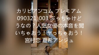 カリビアンコム プレミアム 090321_003 ぶっちゃけどうなの？人気女優の本音を聞いちゃおう！ヤっちゃおう！宮村恋 夏希アンジュ