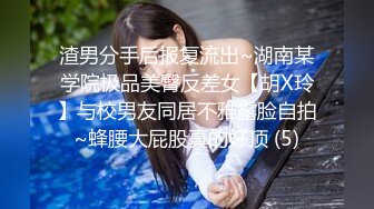 土豪包养纽约大学华裔留学生，清纯甜美校花沦为母狗