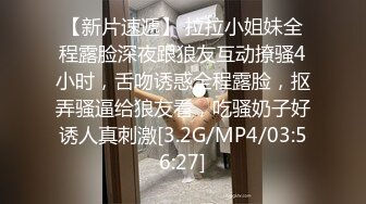 后入情趣小母狗