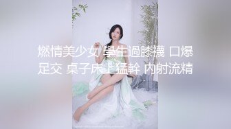 星之迟迟 2023年12月计划C – 明日奈同人女仆