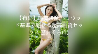 【有码】極美映像,ハリウッド基準で魅せる超高画質セックス,蒼井そら(1)