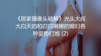 烈焰红唇花臂纹身美乳小姐姐  脱掉衣服扭动细腰  坐在椅子上振动棒插穴