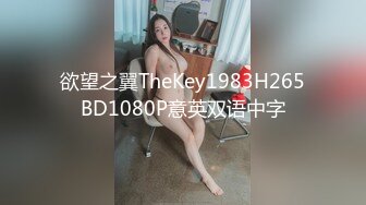 欲望之翼TheKey1983H265BD1080P意英双语中字