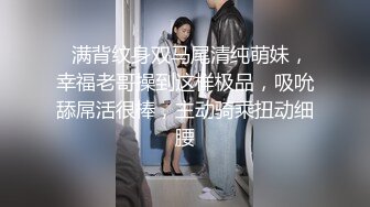 STP30785 探花大神肥尸哥酒店重金约嫖身材娇小科技网红脸外围女边草边讲和嫖客厕所操逼牛逼事