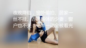 极品肥臀人妻车震