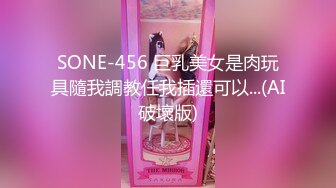 SONE-456 巨乳美女是肉玩具隨我調教任我插還可以...(AI破壞版)