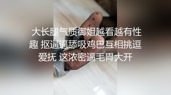 麻豆传媒 MD-0288 苏畅 操爆骚话女仆 每天都是情人节