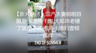 骚老婆被大鸡吧插