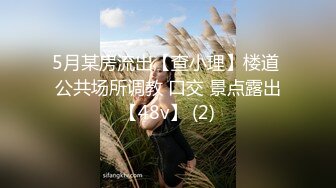 户外达人【战女狼】厕所4P~车震~小树林无套内射~白浆直流 (1)