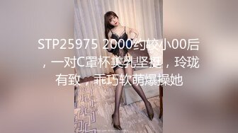 【MP4】[国产]AV0009 自宅羞耻教室诱惑授课