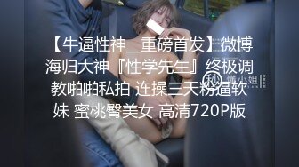 RAS-063不良少年癡漢電車嚴格女教師恥力開發