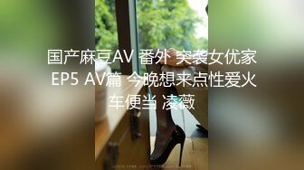 国产麻豆AV 番外 突袭女优家 EP5 AV篇 今晚想来点性爱火车便当 凌薇