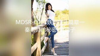 MDSR-0001妖女榨汁篇章一秦老师的秘密-夏晴子