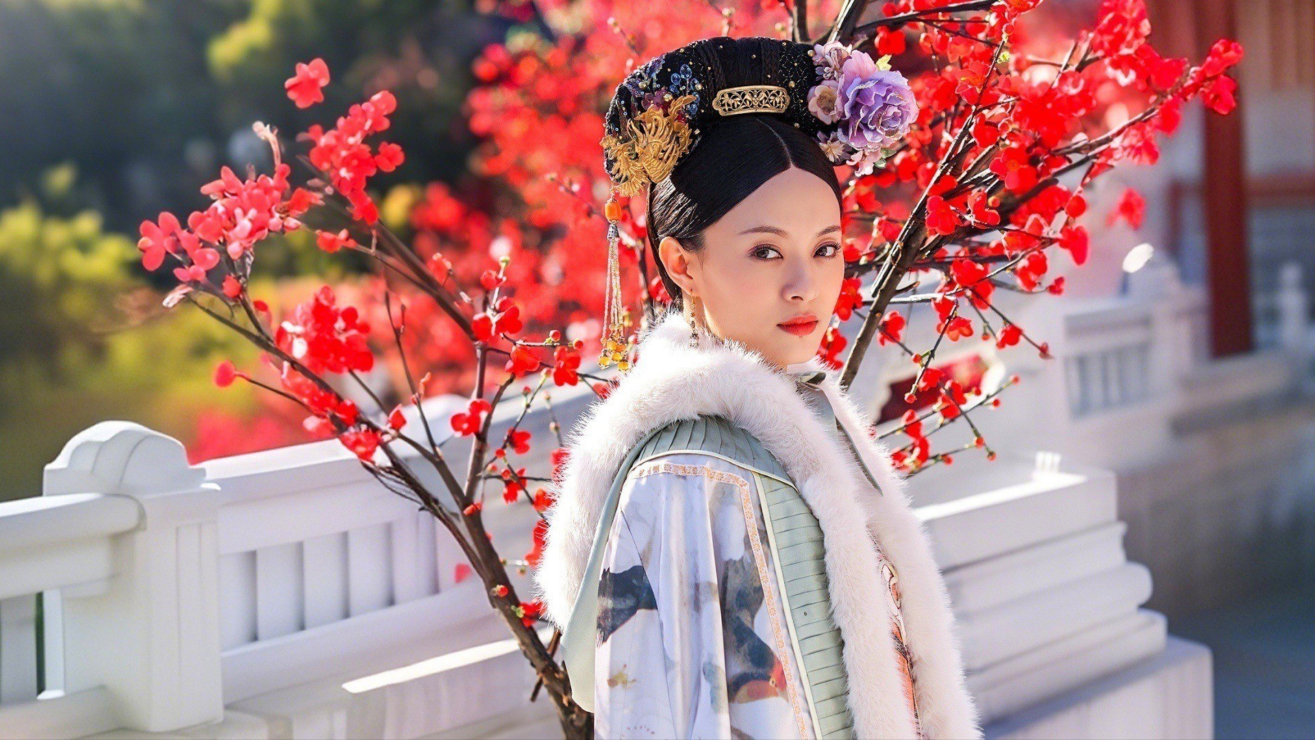 甄嬛传（全季）